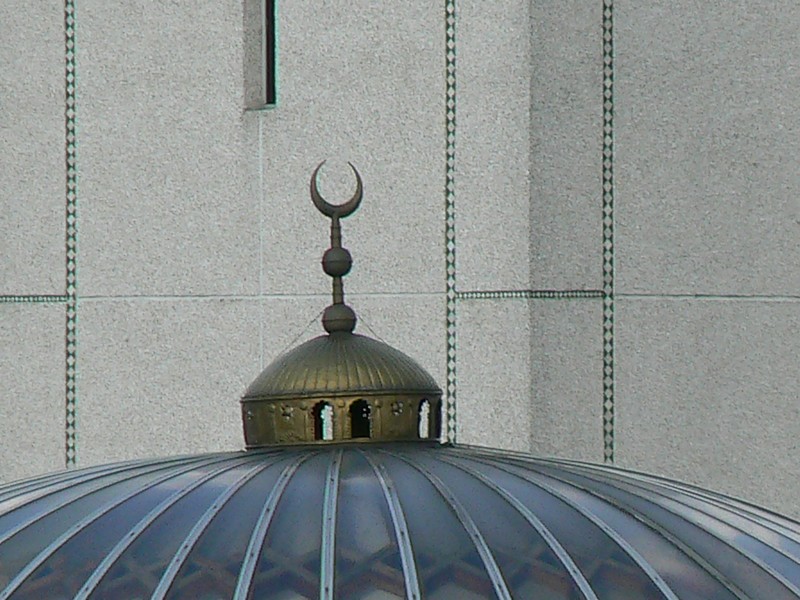 la grande mosquee: la grande mosquee evry 046